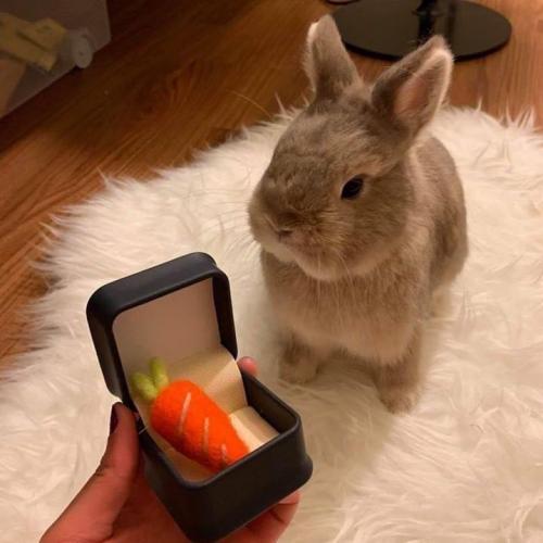 สมาชิกหมายเลข 6095970