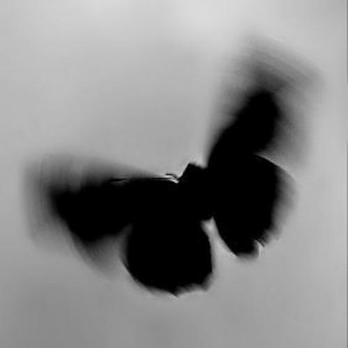 สมาชิกหมายเลข 6503875