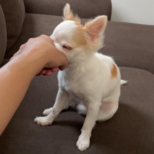 สมาชิกหมายเลข 6719167