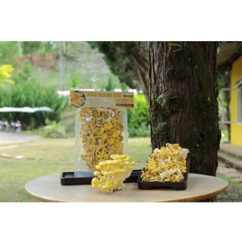 สมาชิกหมายเลข 6719252