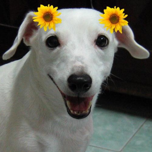 สมาชิกหมายเลข 6610194