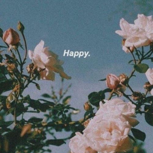 สมาชิกหมายเลข 7477003