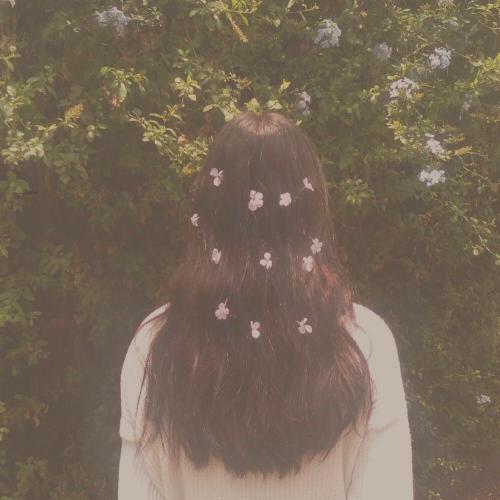 สมาชิกหมายเลข 3940753