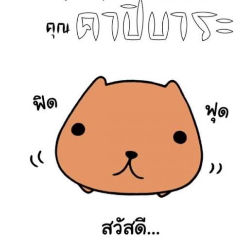 สมาชิกหมายเลข 6096252