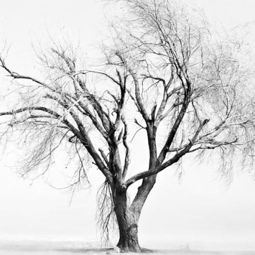 สมาชิกหมายเลข 6096376