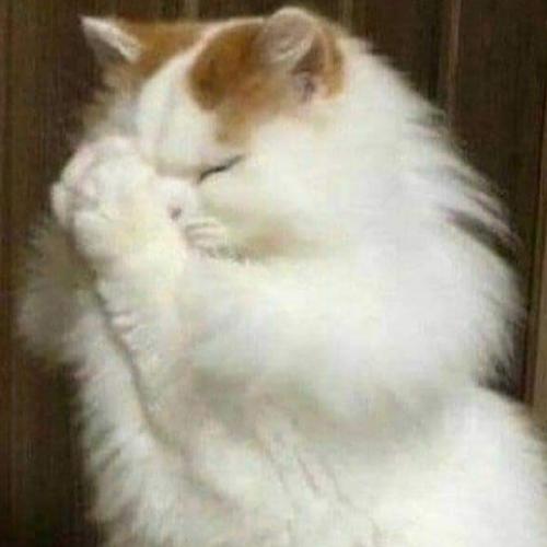 สมาชิกหมายเลข 6720112