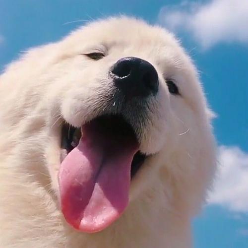 สมาชิกหมายเลข 7435805