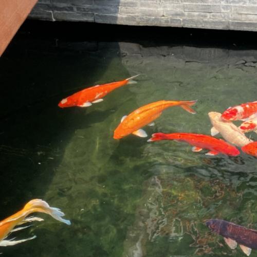 สมาชิกหมายเลข 7478399