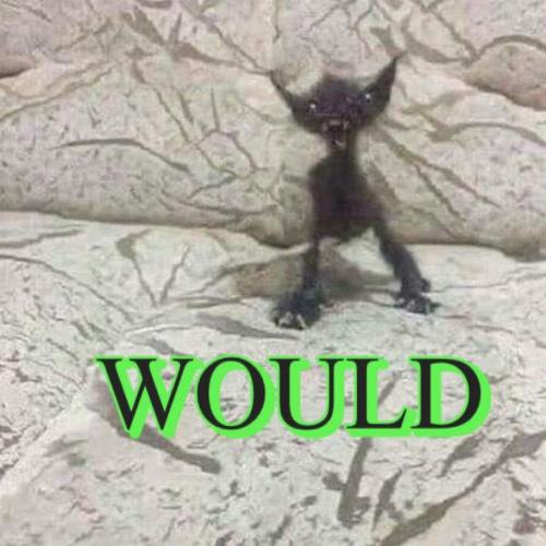 สมาชิกหมายเลข 7478510