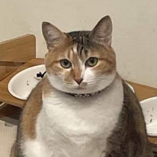 สมาชิกหมายเลข 7328889