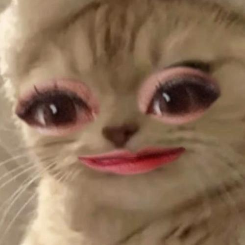 สมาชิกหมายเลข 8378111