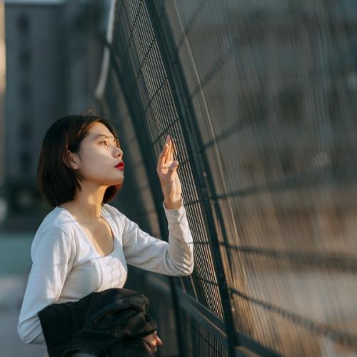 สมาชิกหมายเลข 8378239