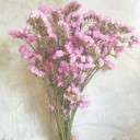 สมาชิกหมายเลข 1367733