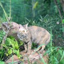 สมาชิกหมายเลข 1869552