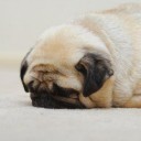 สมาชิกหมายเลข 3936016