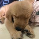 สมาชิกหมายเลข 3941140