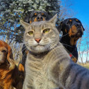 ที่บ้านเรียกจอย