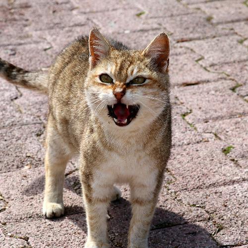 สมาชิกหมายเลข 3738614