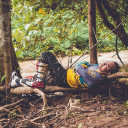 ต้นเขียน