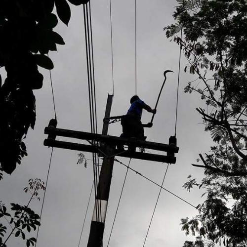 สมาชิกหมายเลข 4768012