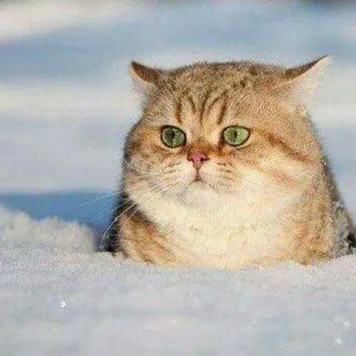 31ธันวาคมเป็นวันสิ้นปี