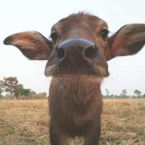 สมาชิกหมายเลข 3810462