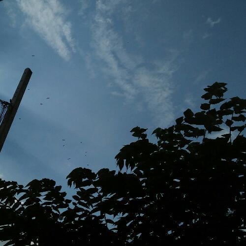 สมาชิกหมายเลข 4889169