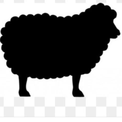 สมาชิกหมายเลข 5544036