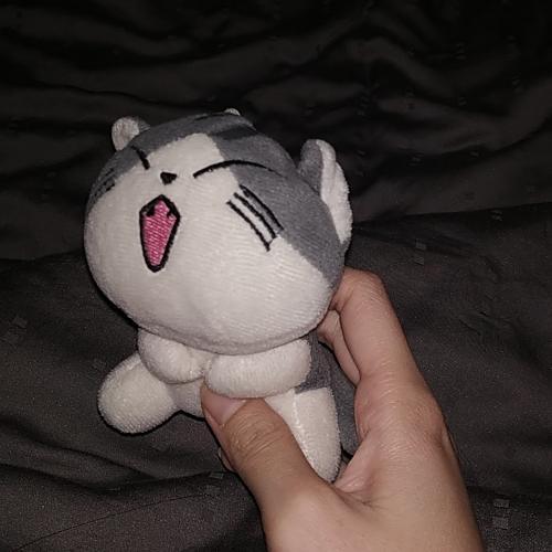 สมาชิกหมายเลข 5699139