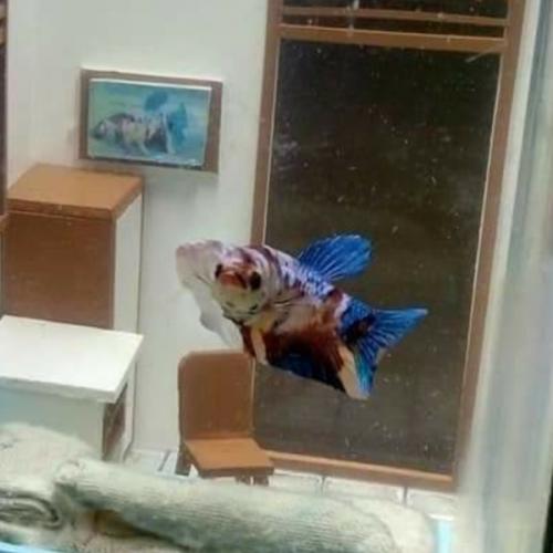 สมาชิกหมายเลข 5825579