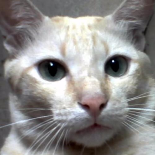 สมาชิกหมายเลข 6097030