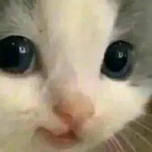 สมาชิกหมายเลข 6720825