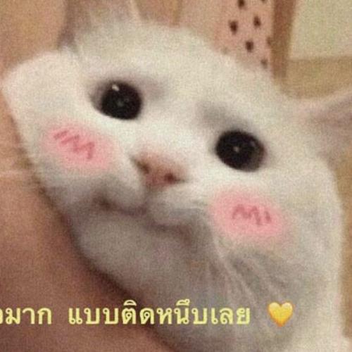 สมาชิกหมายเลข 7357039