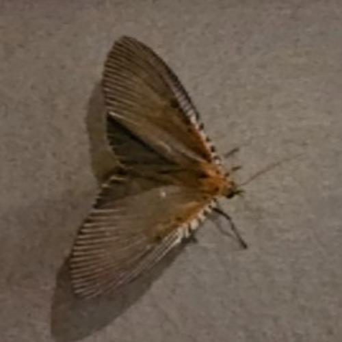 สมาชิกหมายเลข 7933848