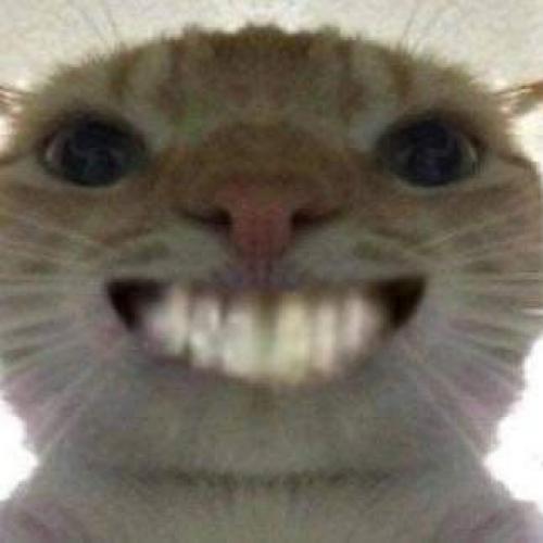 สมาชิกหมายเลข 8373278