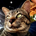 บุญส่วย สวยไม่สร่าง