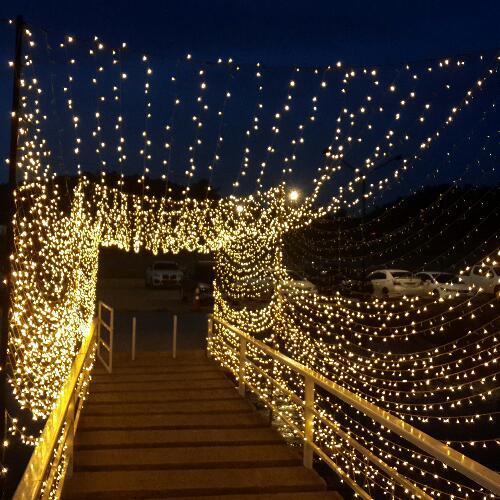 สมาชิกหมายเลข 4768376