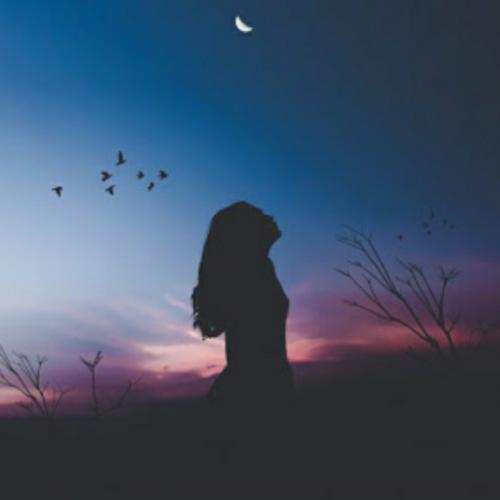 สมาชิกหมายเลข 5144340