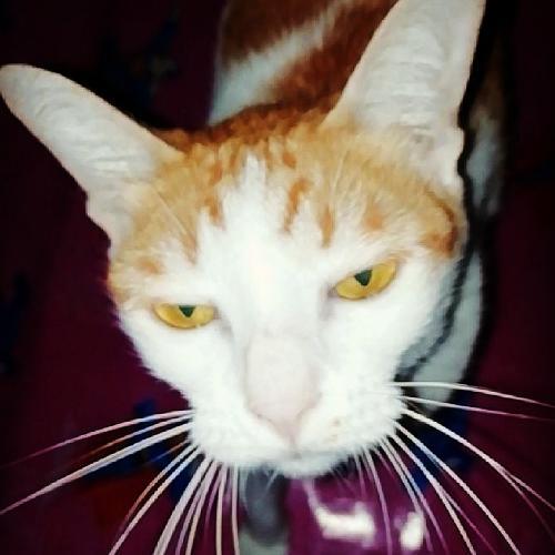 สมาชิกหมายเลข 5544699