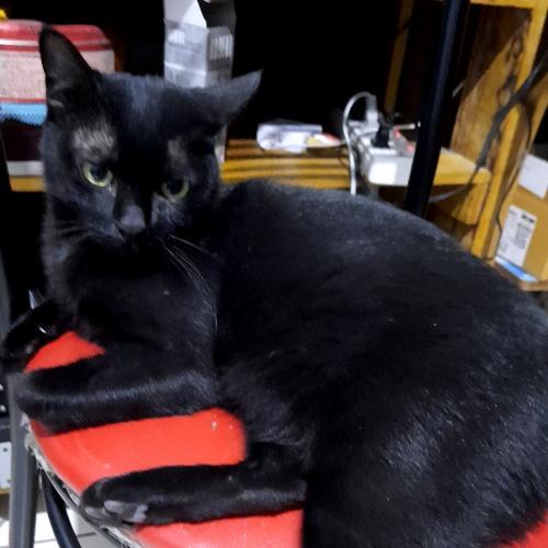 สมาชิกหมายเลข 6087815