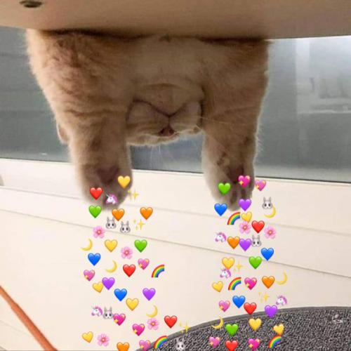 สมาชิกหมายเลข 3877206