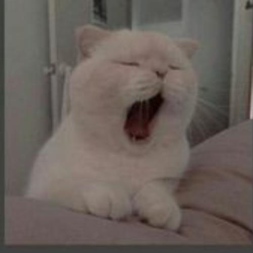 สมาชิกหมายเลข 6716194