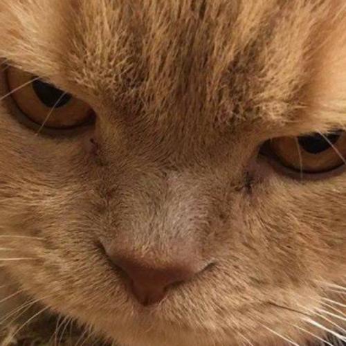 สมาชิกหมายเลข 6236831