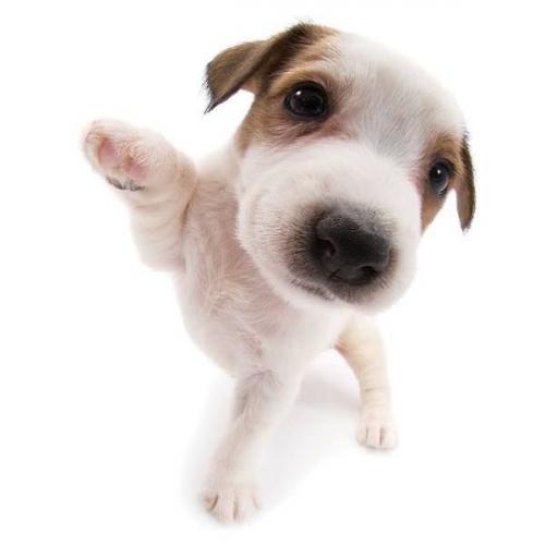 สมาชิกหมายเลข 7479509