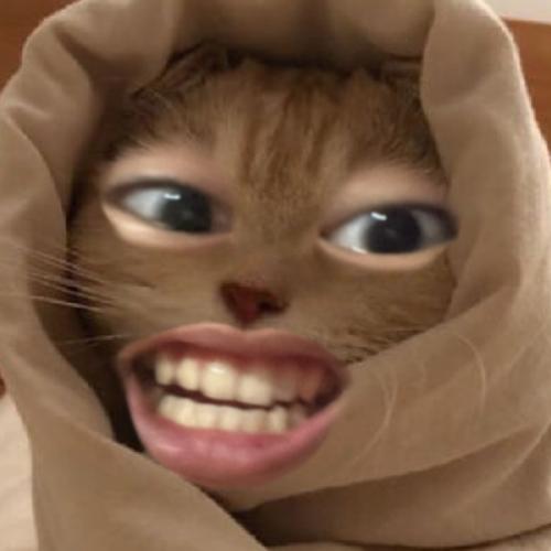 สมาชิกหมายเลข 7479633