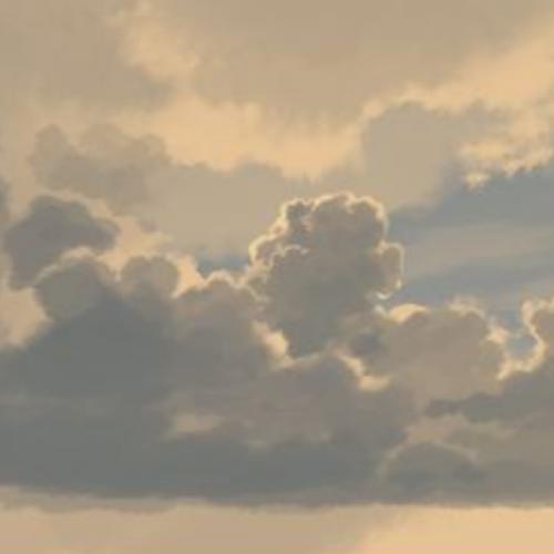 สมาชิกหมายเลข 7479681