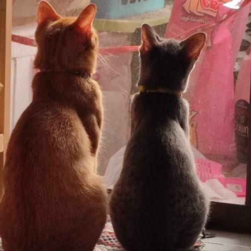 สมาชิกหมายเลข 6379149