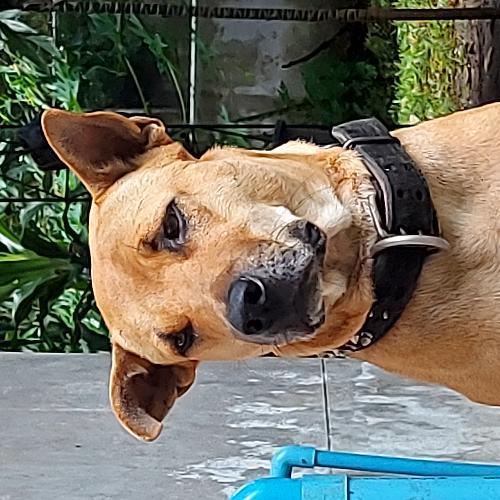 สมาชิกหมายเลข 6456531