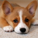 สมาชิกหมายเลข 3942027