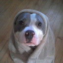 สมาชิกหมายเลข 2865596